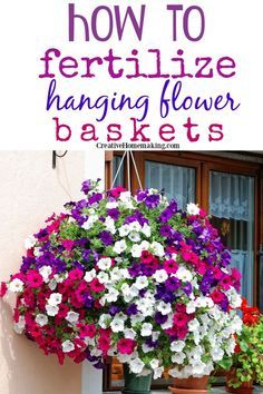 Flower Fertilizer, Hanging Plants Outdoor, Garden Remedies, Garden Fertilizer, Hanging Flower Baskets, Container Gardening Flowers, Garden Wallpaper, Fertilizer For Plants, Outdoor Flowers