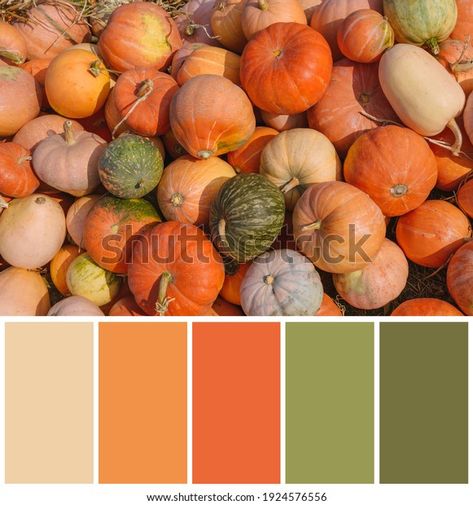 Fall Color Pallet, Halloween Color Palette, Autumn Color Palette Fashion, November Colors, Thanksgiving Color, Pantone Colour Palettes, Icing Colors, Fall Color Palette, Pumpkin Colors