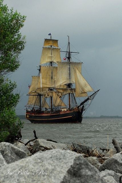 Navi A Vela, Old Sailing Ships, Clipper Ship, Sailing Vessel, Wooden Ship, Foto Vintage, Sail Away, Tall Ships, Pirate Ship