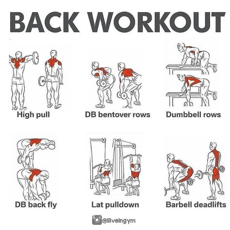 Fitness | Nutrition | Training on Instagram: “✅Back Workout 🔥 • SAVE FOR YOUR BACK DAY💪! . Follow us for more ❤️ - What’s your favourite muscle group to workout? ➖➖➖➖➖➖➖➖➖➖…” Bicep Workout Gym, Muscle Groups To Workout, Back Workout Bodybuilding, Dumbbell Back Workout, Back Workout Men, Gym Back Workout, Back Workout Routine, Back And Bicep Workout, Back Day Workout