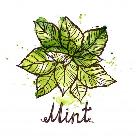 Types Of Green, Herbal Leaves, Leaves Sketch, African Tattoo, Zestaw Ikon, Mint Leaf, Minted Art, 1440x2560 Wallpaper, Leaf Illustration