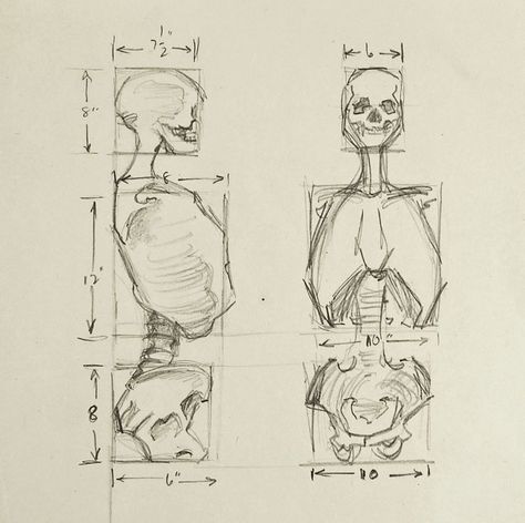 Human Anatomy Study, Paper Human, How To Draw Human, Draw Human, Siluete Umane, Human Anatomy Drawing, Human Figure Drawing, Human Anatomy Art, Anatomy Sketches