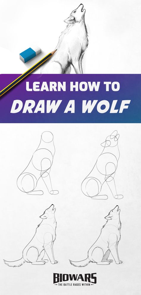 A collage of images depicting the process of wolf drawing. Wolf Sketch Tutorial, Wolf Tutorial Drawing, How To Draw Wolfs, Wolf Digital Painting, How To Draw Wolf Step By Step, Wolf Body Drawing, Wolf Drawing Easy Step By Step, Sitting Wolf Drawing, Step By Step Wolf Drawing