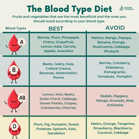 Understanding your blood type can guide you towards the most helpful fruits and vegetables to consume, maximizing your well-being. Whether you're an A, B, AB, or O, each blood type has unique nutritional needs. Your blood type holds the power to transform your health from the inside out! 🌱 For juicing recipes and information on juicing for health order our new book “Juices for Total Wellness” *link in bio https://amzn.to/40mCErS • • • • ✨ #BloodTypeWellness #bloodtype #bloodtypediet #juicingt Blood Type Ab Diet, Eating For Blood Type A Positive, Blood Type A Positive Diet, Type B Blood Diet, Type A Blood Diet Recipes, Blood Type Diet For A+, Type O Blood Diet, Blood Type O Recipes, A Positive Blood Type Diet