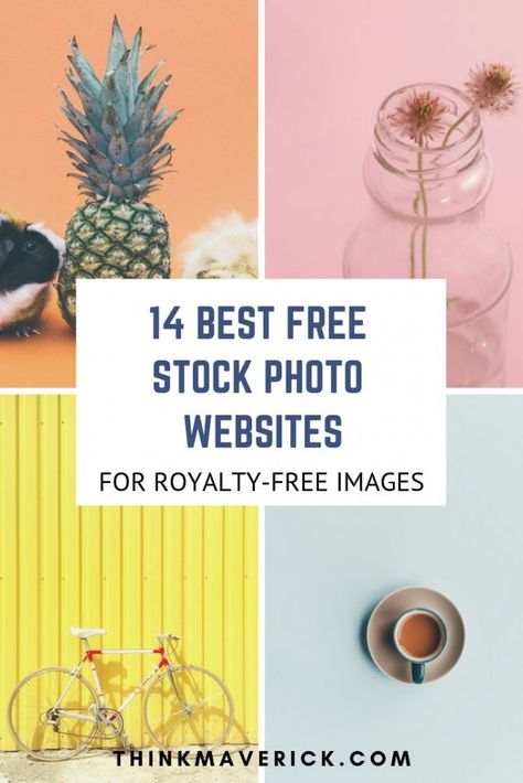 Stock Tips, Photo Website, Photo Site, Free Stock Images, Free Graphics, Stock Photography Free, Best Sites, Blog Traffic, Blog Tips