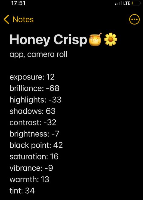 it gives a nice honey golden pinkish look to the picture Golden Filter Iphone, Good Filters For Pictures, Cool Filters For Pictures, Picture Filters Photo Editing, Phone Filters, Picture Hacks, Picture Filters, Filter Editing, Iphone Filters