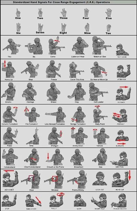 Military hand signals Soldier Hand Signals, Military Alphabet, Beteg Humor, Trening Sztuk Walki, Military Tactics, Military Ranks, Hand Signals, Communications Plan, Tactical Gear Loadout