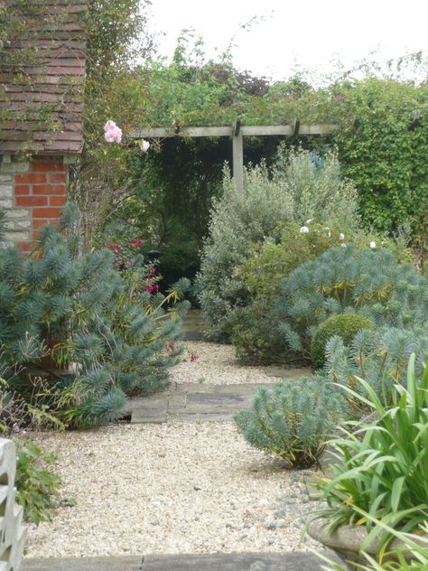 Cotswold gravel, York stone, Euphorbia Yorkshire Cream Gravel, Cotswold Gravel Garden, Cotswold Chippings Garden, Cotswold Stone Garden, Cotswold Stone Gravel, Cotswold Gravel, Gravel Landscaping Ideas, Garden Flagstone, Garden Gravel