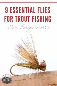 9 Essential Flies for Trout Fly Fishing For Beginners – Outdoor Troop Beginner Fly Tying, Fishing Knowledge, Carp Flies, Fly Fishing Knots, Trout Fishing Lures, Fly Fishing For Beginners, Rainbow Trout Fishing, Trout Bait, Trout Fishing Tips