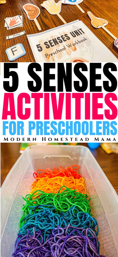 Five Senses Activities For Infants, 5 Senses Fine Motor Activities, Senses Sensory Bin, 5 Senses Crafts For Toddlers, Five Senses Crafts For Toddlers, 5 Senses Craft, Five Senses Activities, 5 Senses Preschool, Five Senses Preschool