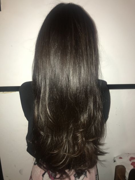 Layered Hair Brown Long, Black Long Layers Hair, Long Dark Brown Straight Hair, Dark Deep Brown Hair, Long Layer Dark Brown Hair, Long Brown Hair Long Layers, Black Strait Hair, Dark Brown Long Straight Hair, Black Hair Vs Dark Brown