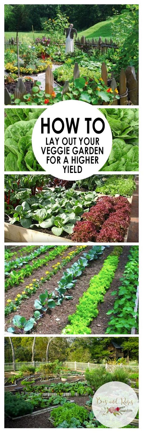 Health, Layout, Vegetable Garden, Garden Layout Vegetable, Garden Layout, Veggie Garden, Outdoor Structures, Wonder, Canning