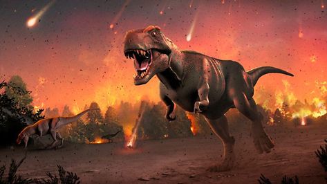 Dinosaur extinction: 'Asteroid strike was real culprit' Dinosaurs Extinction, Impact Event, Dinosaur Facts, Marine Organism, Tyrannosaurus Rex, Jurassic World, T Rex, Geology, National Geographic