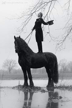 Horses on Pinterest | Horse Halloween Costumes, Akhal Teke and ... Horse Photography, Equine Photography, Friesian Horse, Black Horses, Clydesdale, All The Pretty Horses, Horse Crazy, Equine Art, Pretty Horses