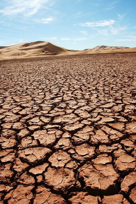 Water In The Desert, Pollution Pictures, Desert Images, 숲 사진, Morocco Africa, Desert Pictures, Sand Desert, Desert Sahara, Desert Land