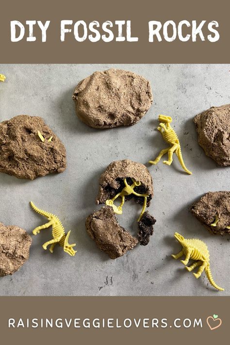 Do you have a dinosaur loving kid like I do? If so, try these DIY dinosaur fossil rocks! They're easy to make and so much fun to break open and discover dinosaurs! #dinosaurs #dinosaurfossils #diy #diyfossils #kidsactivities #preschoolactivities #kindergartenactivities #homeschool #paleontology Dinosaurs Fossils Preschool, Easy Fossil Activity, Dinosaur Fossil Activity, Dinosaur Fossil Activity For Kids, Make Your Own Fossils, Diy Dinosaur Fossil Dig, Kids Fossil Dig, Dinosaur Dig Diy, Dinosaur Bones Craft