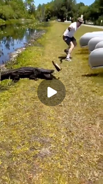 Bass Finder Fishing Company on Instagram: "Wait For The Ending 😳 What Would You Do If This Happened?   🎥: @.benboo Via TT  🟢 Follow @thebassfinder For The Best Fishing Videos 👈" Humour, Waiting Funny Picture, Crazy Animal Videos, Funny Animal Videos Dogs, Hilarious Animal Videos, Funniest Videos Ever, Funny Fishing Pictures, Fish Videos, Bass Fishing Pictures