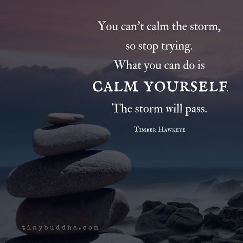 You can't calm the storm, so stop trying. What you can do is calm yourself. The storm will pass. Handle It Quotes, Calm Yourself, It Quotes, You Are Stronger, Calming The Storm, My Mental Health, Easy Meditation, Stop Trying, Motivation Mindset