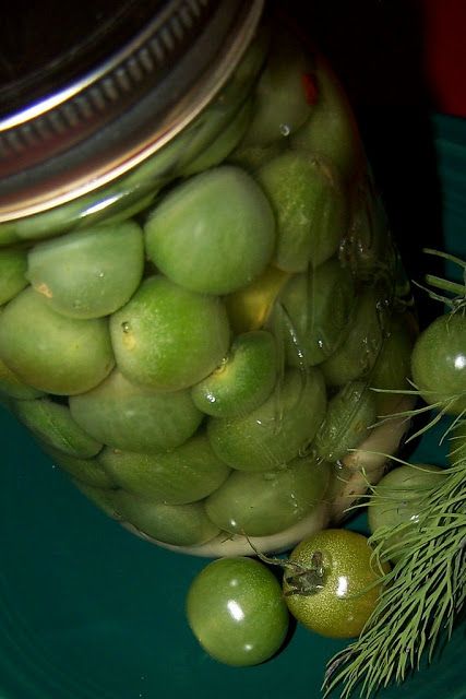 Pickled Green Cherry Tomatoes Recipe, Pickled Green Cherry Tomatoes, Green Cherry Tomatoes, Canning Green Tomatoes, Pickled Green Tomatoes, Pickled Tomatoes, Cherry Tomato Plant, Green Tomato Recipes, Cherry Tomato Recipes