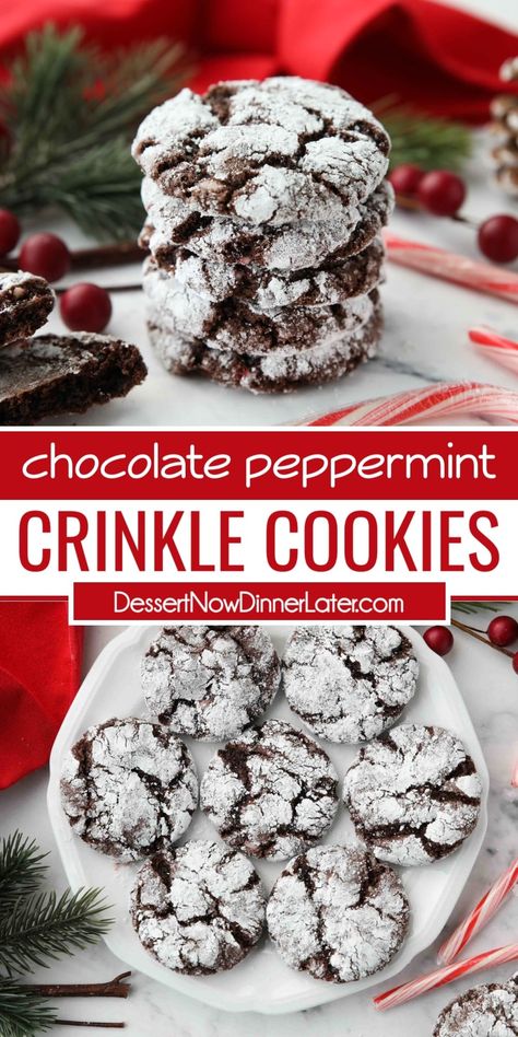 Peppermint Crinkle Cookies Recipe, Crinkle Cookies Cake Mix, Chocolate Peppermint Crinkle Cookies, Easy Xmas Dessert, Peppermint Crinkle Cookies, Peppermint Cake, Crinkle Cookies Recipe, Xmas Desserts, Peppermint Candy Cane