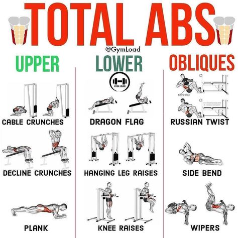 gym/workout/diet on Instagram: “@fitness_._tips TOTAL ABS 💪🔥 SAVE THIS POST FOR LATER! 📥📥 👉 Follow @fitness_._tips for more amazing daily workout content! 💪 Abs are…” Tes, Abs Day Workout Gym, Core Day Workout Gym, Ab Day Workout, Full Ab Workout, Total Abs, Gym Workout Guide, Workout Plan For Men, Ab Day