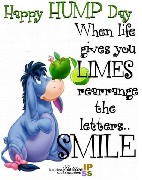 65 Happy Wednesday Quotes - "Happy Hump Day. When life gives you LIMES, rearrange the letters…SMILE." - Unknown Humour, Pooh Wisdom, Montag Motivation, Hump Day Quotes, Wednesday Morning Quotes, Eeyore Quotes, Eeyore Pictures, Happy Wednesday Quotes, Wednesday Quotes