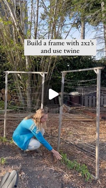 Kelly Welk on Instagram: "If you’re planning to grow snap peas, green beans, sweet pea flowers … or really anything that needs trellising. Here are a few ways we have found to create easy garden structures.

Get the trellis in place now and you’ll be able to train your plants up the trellis as they grow-it’s much easier then trying to add it in once they’re crazy vining lumps in the garden!

The moral of this is that you can use all sorts of things! As long as there is something for the vines to grab onto and preferably 5ish feet tall. 

The snap peas that grow on our bed spring trellis end up growing up one side and then vine along the top as they get taller - it’s a bit short but it’s so cute and sturdy I just love it.

What do you have that you can use? What are you trellising!? I’m add Growing Peas Trellis, Green Beans Trellis, Grow Snap Peas, Sweet Pea Trellis, Snap Pea Trellis, Green Bean Trellis, Bean Trellis, Pea Trellis, Growing Sweet Peas