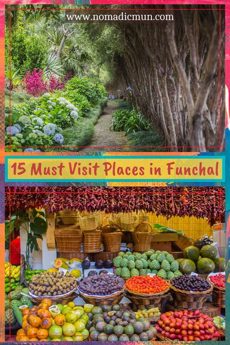 Funchal Travel Guide - 15 Best Attractions in Funchal - NomadicMun - Travelogue Funchal, Sweden Travel, Austria Travel, Travel Destinations Asia, Most Beautiful Gardens, Interesting Topics, Travel Board, Exotic Plants, Uk Travel