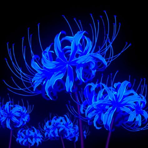 Flowers, In The Dark, Blue Flowers, Blue