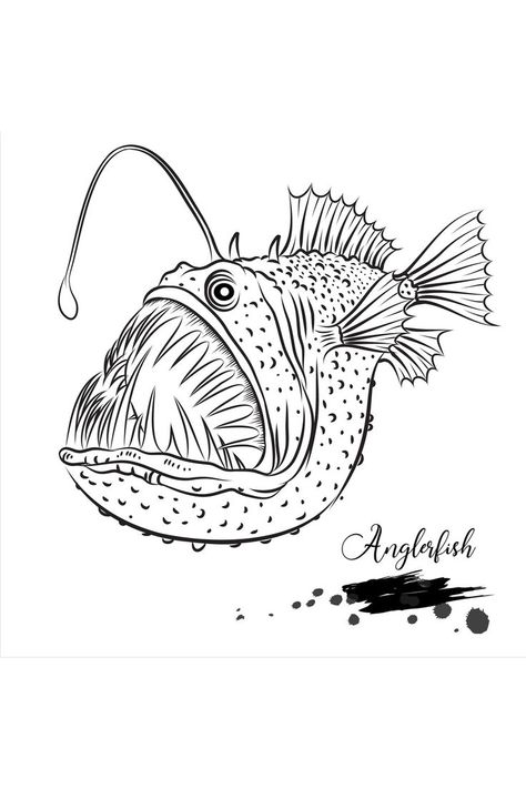 Angler fish drawing Ribe, Fish With Light On Head Drawing, Lantern Fish Drawing, Lantern Fish Tattoo, Anglerfish Illustration, Big Fish Drawing, Scary Fish Drawing, Lion Fish Drawing, Anglerfish Drawing