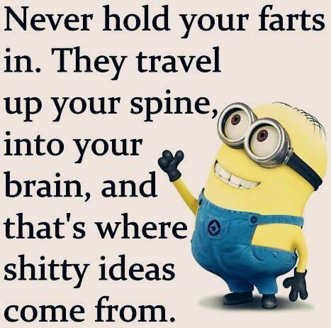 Humour, Brain Farts Humor, Fart Quotes, Funny Fart Jokes, Cute Minion Quotes, Jokes About Marriage, Husband Wife Jokes, Minion Memes, Funny Day Quotes