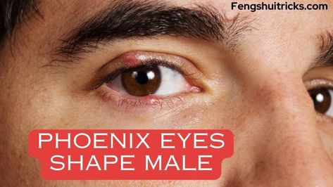 In this article, we will discuss 15 phoenix eyes shape face reading meanings for males and females. No doubt the eyes are a vital part of the body. The eye is the window to the heart and forms an important part of physiognomy. In Chinese face reading, the eye shape is also considered symbolic and … Phoenix Eyes, Chinese Face Reading, Types Of Eye Shapes, Eyes Shape, Eyeliner Shapes, Shape Face, Almond Shaped Eyes, Face Reading, Types Of Eyes