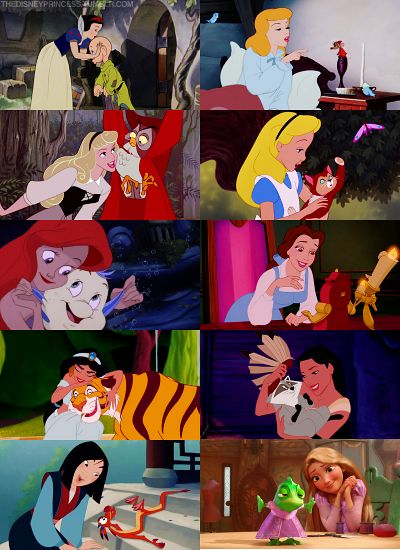 Disney Princesses and their Sidekicks Disney Sidekicks, Castle Photo, Sette Nani, All Disney Princesses, Disney Princesses And Princes, Disney Collage, Disney Nerd, Disney Animals, Disney Side