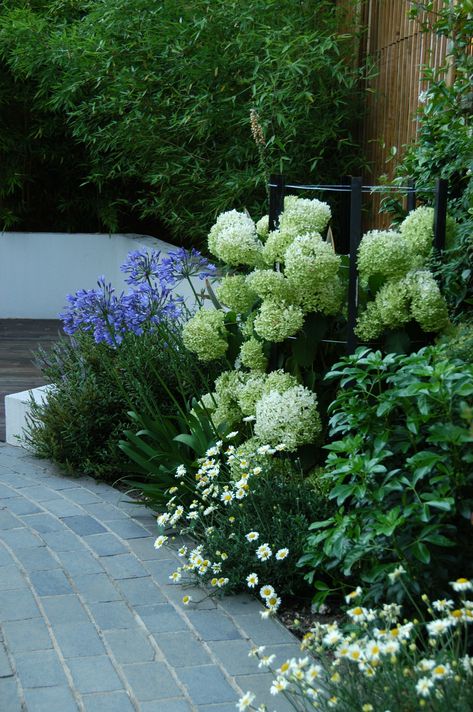 Garden Border Plants, Hydrangea Landscaping, Front Garden Design, Back Garden Design, Hydrangea Garden, Casa Exterior, Have Inspiration, Contemporary Garden, Outdoor Gardens Design