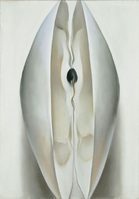 Alfred Stieglitz, Open Clam Shell, Georgia O'keefe Art, Georgia O Keeffe Paintings, O Keeffe Paintings, Georgia O'keeffe, Arte Steampunk, Georgia Okeefe, Georgia O Keeffe