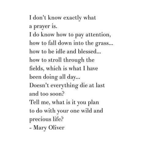 Mary Oliver quote from One Summer Day poem. Tell me, what is it you plan to do with your one wild and precious life? Tony Robbins, Robert Kiyosaki, Mary Oliver Quotes, Mary Oliver Poems, Quotes Dream, Mary Oliver, Poetry Words, Poem Quotes, Wonderful Words