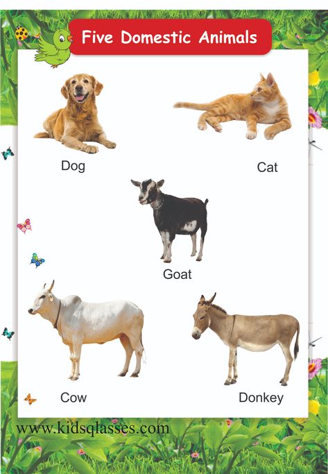 Nursery Kids General Knowledge Part - 1 Learning English Worksheets, Nursery Worksheet, Wild Animal Nursery, Sea Animal Nursery, Nursery School Activities, Toddler Chart, Reading For Kids, General Knowledge For Kids, Preschool Charts