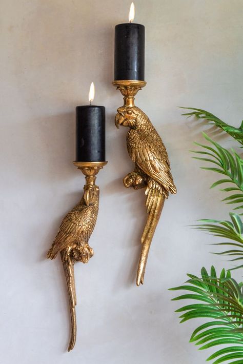 Golden Macaw, Perfect Personality, Mounted Candle Holders, Quirky Homeware, Asma Kat, Rockett St George, Gold Candle Holders, Macaw Parrot, Wall Candle Holders