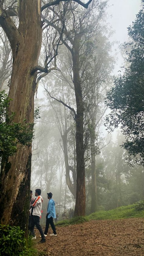 Nature, Morning Snap, Butterfly Park, Nandi Hills, Bangalore City, Forest Photography, Indian Aesthetic, Beautiful Nature Scenes, Inspo Outfits