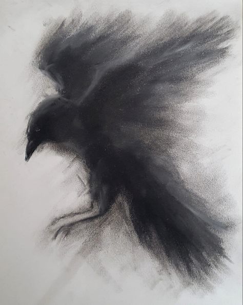 Charcoal Drawing Animals, Easy Charcoal Drawings, Blackbird Art, Crows Drawing, Creepy Animals, Fall Canvas Painting, Creepy Drawings, Concept Art Tutorial, Seni Dan Kraf