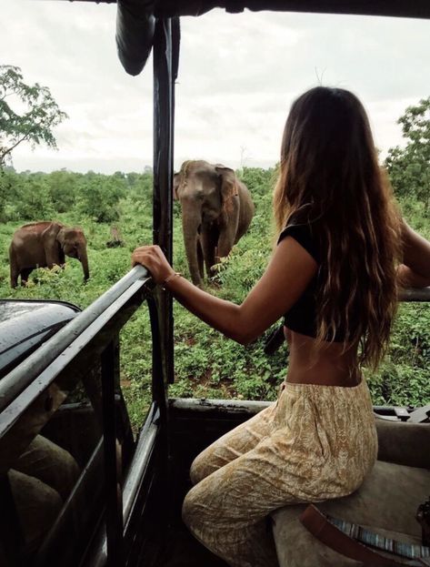 Eryn Krouse, Drømme Liv, Lev Livet, Sri Lanka Travel, Shotting Photo, Gap Year, An Elephant, Foto Pose, Travel Goals