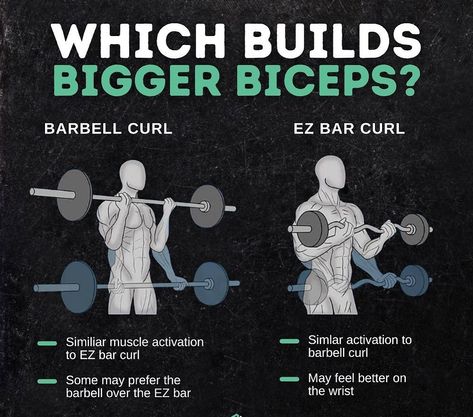 Bigger Biceps Workout, Workout Biceps, Bigger Biceps, Barbell Curl, Big Biceps, Gym Workouts For Men, Health Routine, Triceps Workout, Workout Plan Gym