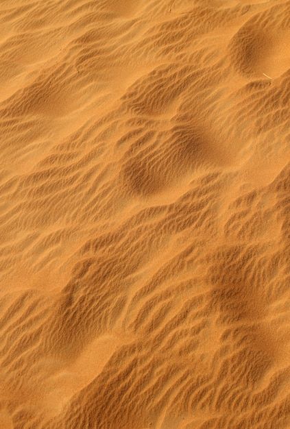 Sand Background Texture, Sand Graphic Design, Desert Texture, Brand Textures, Rich Dubai, Background Desert, Dune Desert, Desert Map, Dirt Texture
