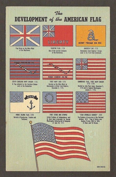 American Flag History, Flag Etiquette, First American Flag, Fort Ticonderoga, American Flag Crafts, First Fleet, American Heritage Girls, Museum New York, Black American Flag