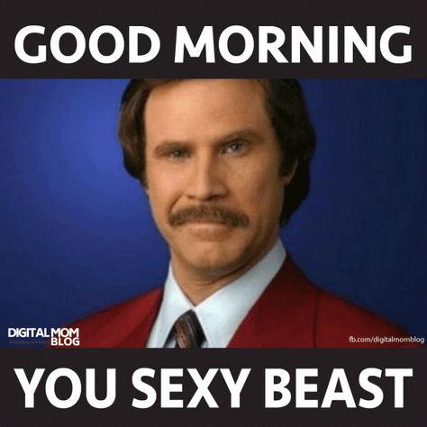 Ron Burgandy says good morning you sexy beast. Text this to the husband - Funny Morning Memes #morningmemes #memes #funny #lol #funnymemes #morning #goodmorning #funnyimages Humour, Funny Morning Memes, Morning Funnies, Funny Memes For Him, Funny Morning, Good Morning Meme, Funny Good Morning Memes, Morning Texts For Him, Good Morning For Him