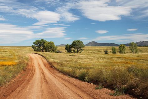 #countryside #dirt road #grass #landscape #outdoors #road #rural #scenic #soil #trees Village Wallpaper, Beautiful Scenery Pictures, Grasses Landscaping, Scenery Pictures, Mountain Photography, Dirt Road, Rural Life, Rural Area, Landscape Pictures