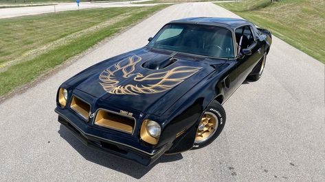 Bandit Trans Am, Famous Movie Cars, Famous Vehicles, 1979 Pontiac Trans Am, Gold Wheels, Pontiac Trans Am, The Bandit, Gold Car, Tv Cars