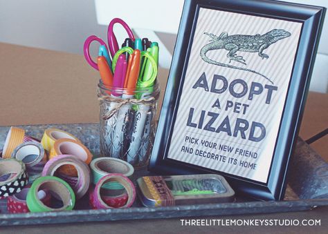 Lizard Party, Insect Party, Snake Birthday, Snake Party, Reptile Party, Nature Party, Pet Lizards, Robot Party, Rabbit Cages