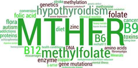 Gallbladder Attack, Mthfr Gene Mutation, Gene Mutation, Mthfr Gene, Chemistry Class, Online Newsletter, Genetic Mutation, Genetic Testing, Word Online