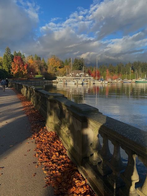 Bonito, Vancouver Fall Activities, Vancouver In Autumn, Vancouver Fall Aesthetic, Coal Harbour Vancouver, Vancouver Autumn, Fall Vancouver, Canada Summer, Vancouver City